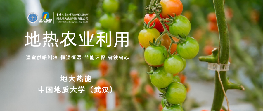 利用地?zé)峤鉀Q糧食生產(chǎn)問題并促進(jìn)發(fā)展-地?zé)豳Y源開發(fā)利用-地大熱能 利用地?zé)峤鉀Q糧食生產(chǎn)問題并促進(jìn)發(fā)展-地?zé)豳Y源開發(fā)利用-地大熱能